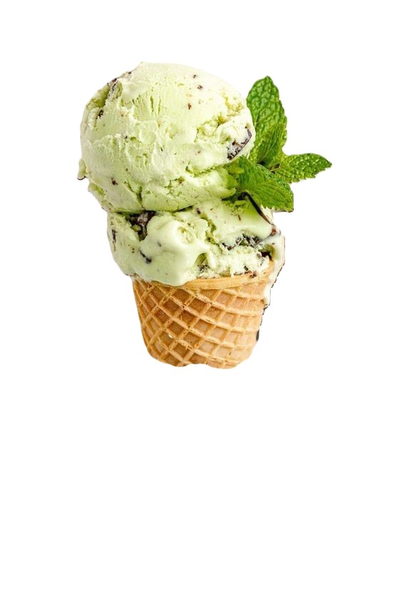 Mint Chocolate Chip